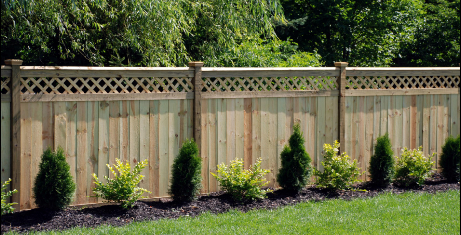 Average Privacy Fence Price In Phoenix Arizona